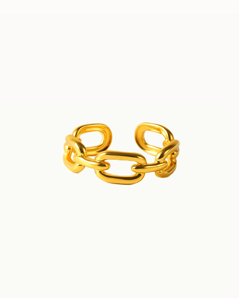 Goldener Gliederring - Verstellbar - Winnie - R45