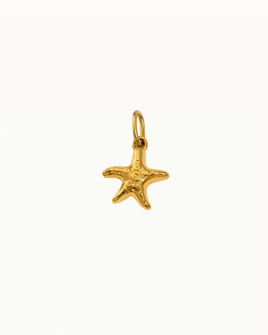 Goldener Seestern-Charm – Kristien