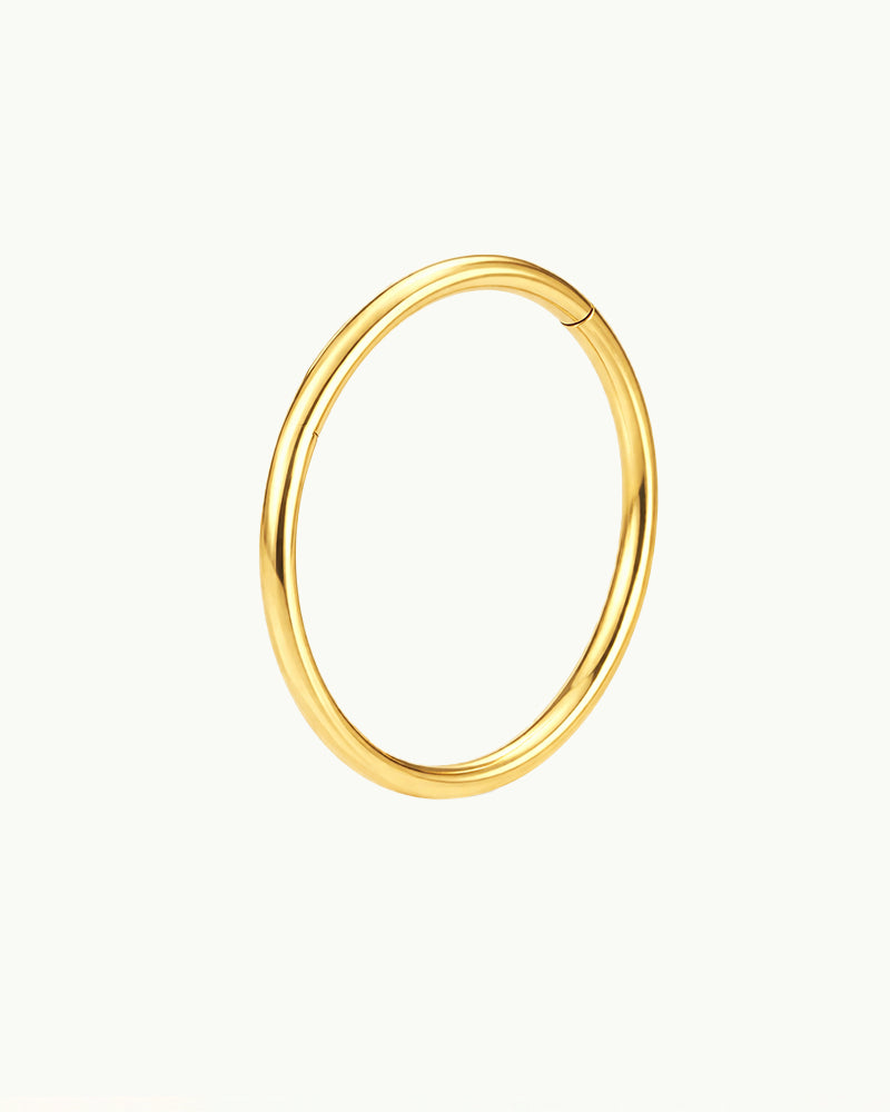 Titanium Standaard Click Ring Piercing - Tara