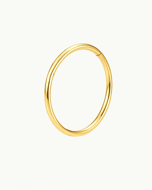Titanium Standaard Click Ring Piercing - Tara